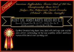 Amstarfx Heidi Ho.png